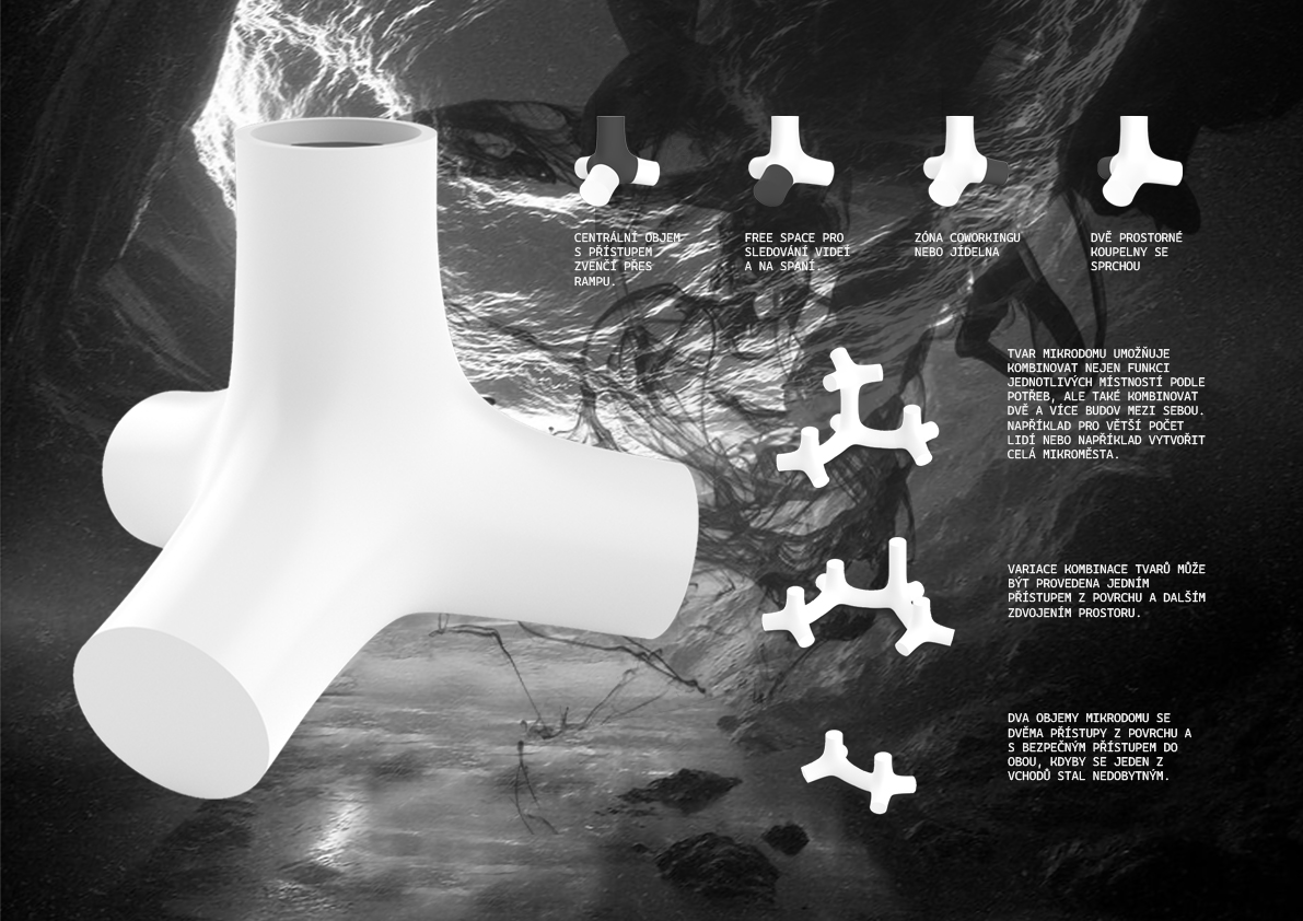 丨Viktoriia Tarnavska-5