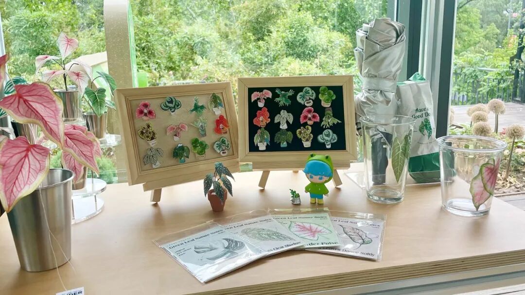 泉城焕新绿▏泉民园艺中心旗舰店-19