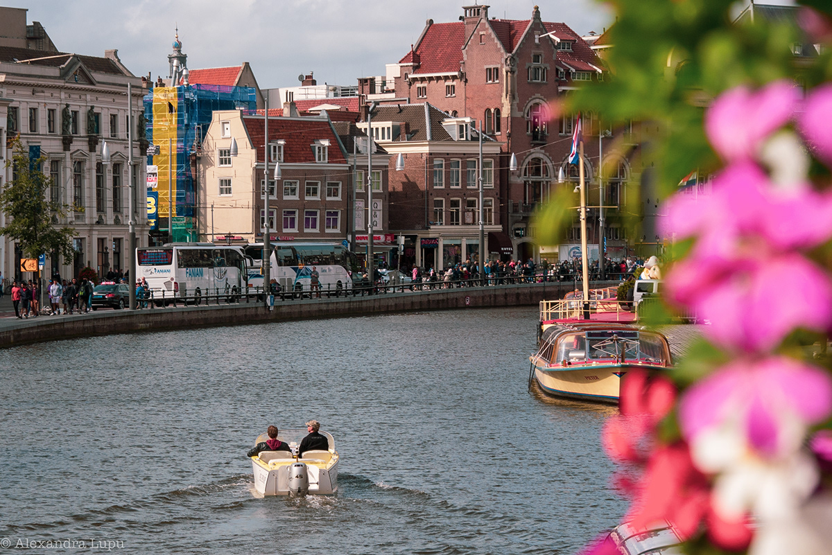 魅力秋日阿姆斯特丹丨荷兰阿姆斯特丹-6