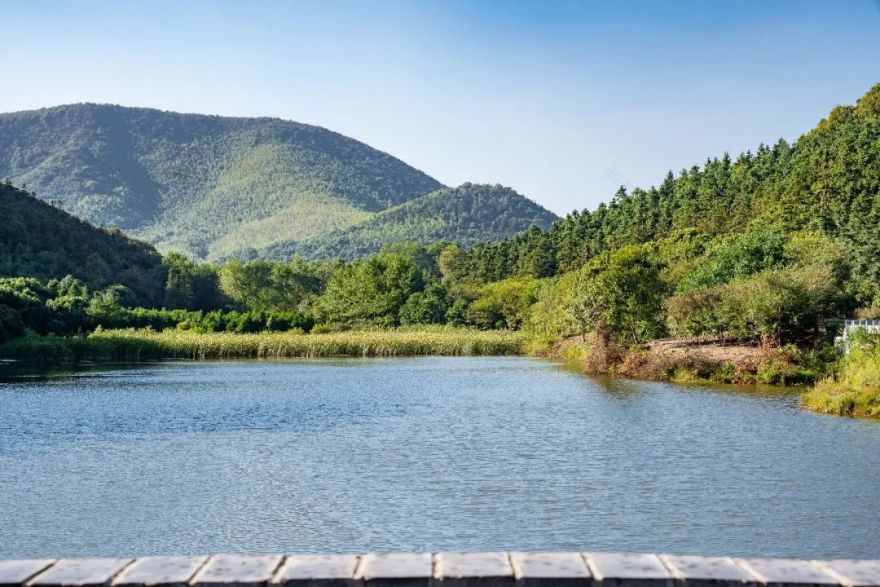 溧阳 1 号公路汨罗灞驿站丨中国江苏丨上海亦境建筑景观有限公司,上海交通大学设计学院风景园林研究所-54