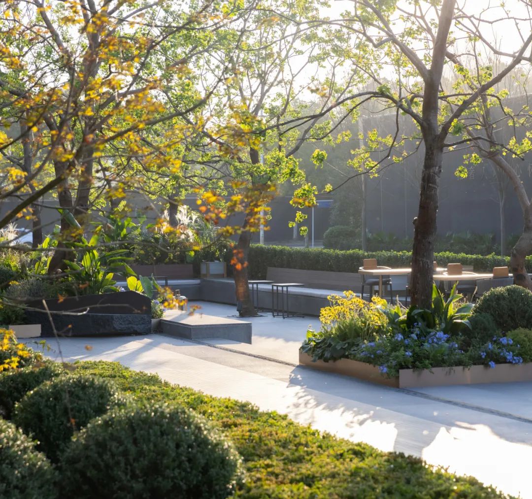 南京都会峯范周围景观丨中国南京丨不详-23