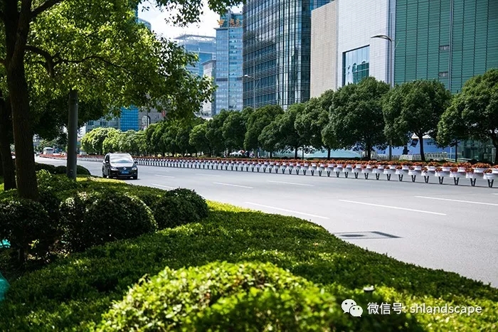 上海浦东世纪大道改造提升工程-8