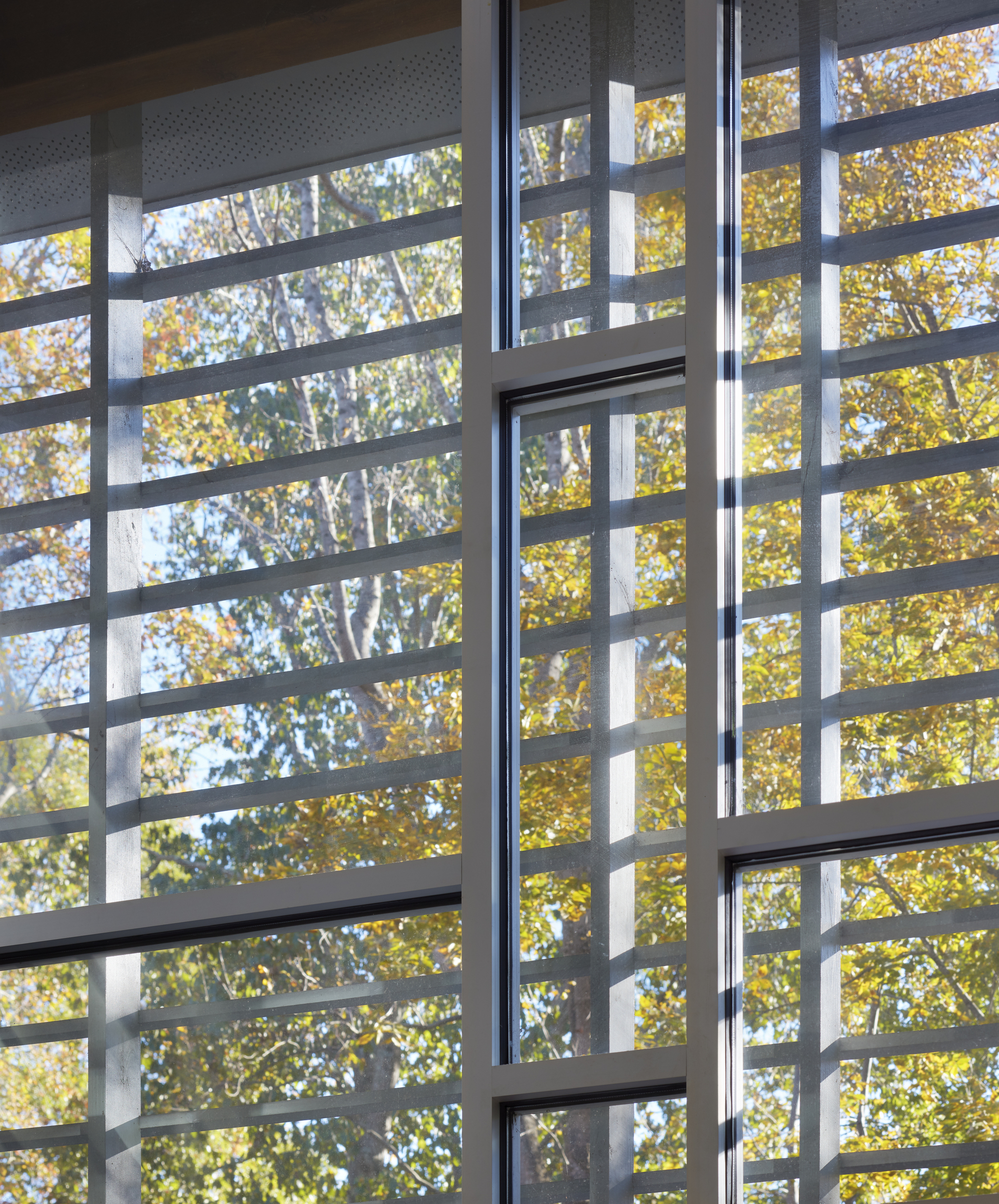 森林中的透明之家-21