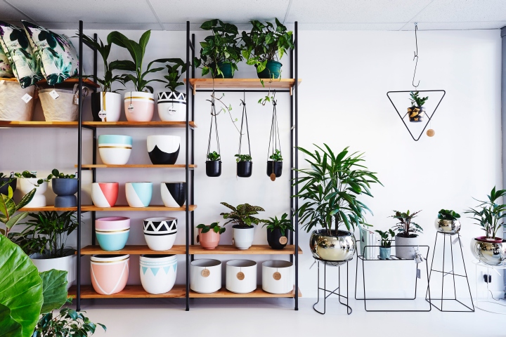 Hass & Co Botanics 店-34