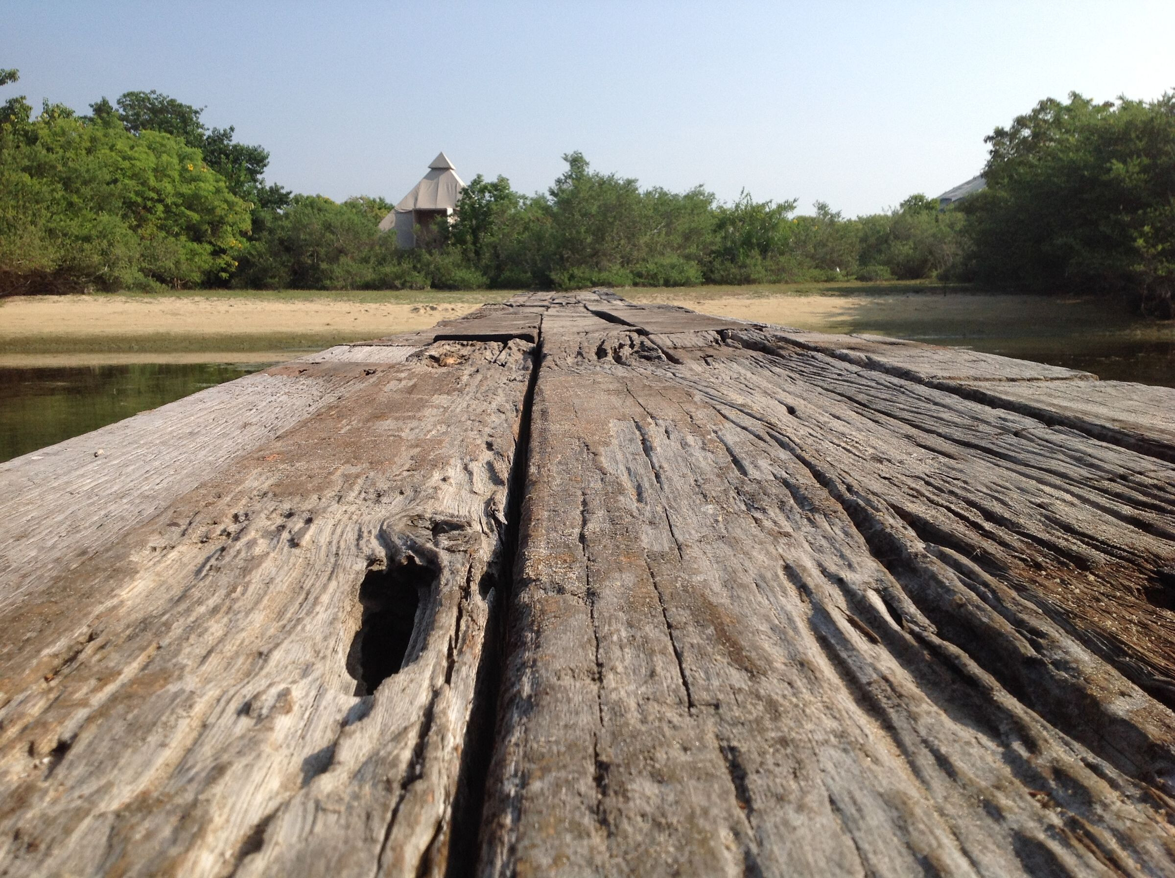 生态奢华，融入自然的帐篷营地-34