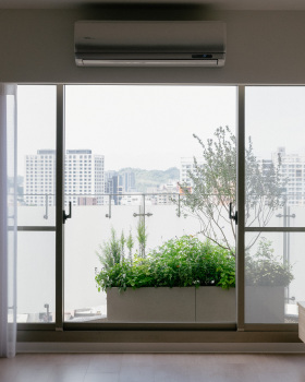 2026 台北／住宅花槽／自然原野