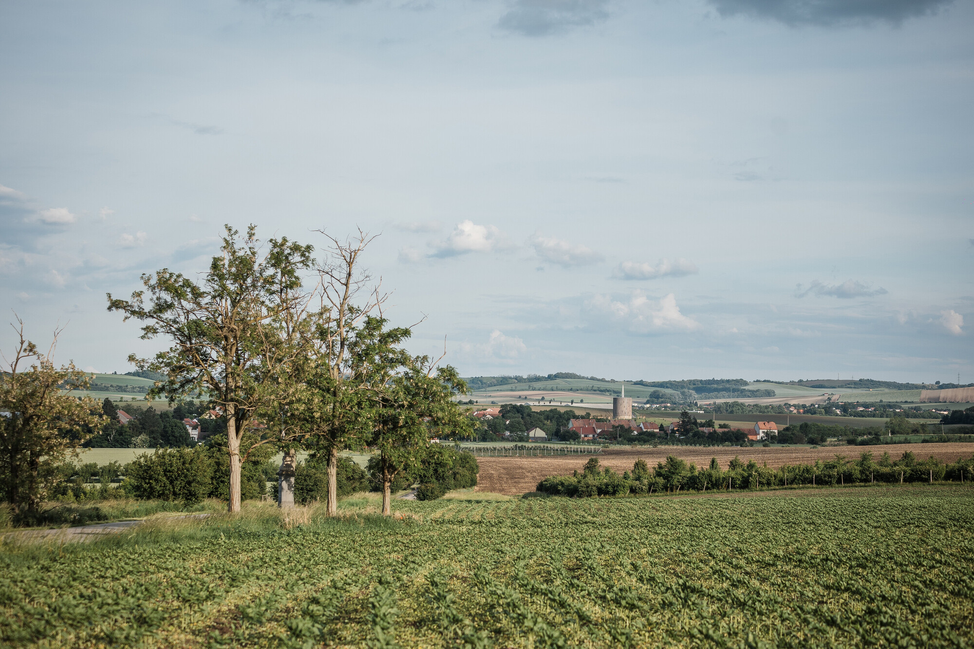 丨捷克丨RCNKSK-5