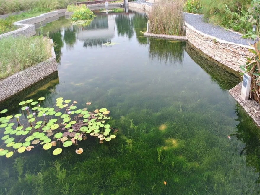 长沙梅溪湖国际新城 | 绿色生态水环境规划与整治-32