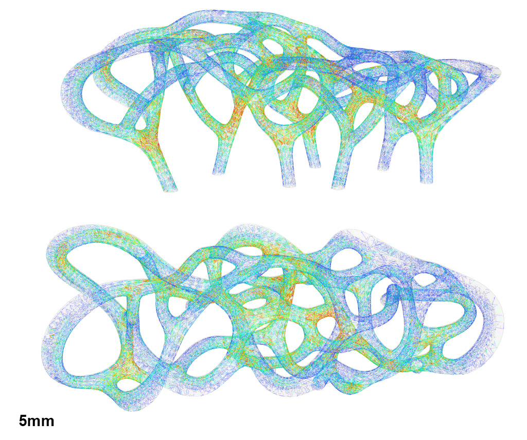 美国佛罗里达州坦帕市河滨公园的“漫游形态”-28