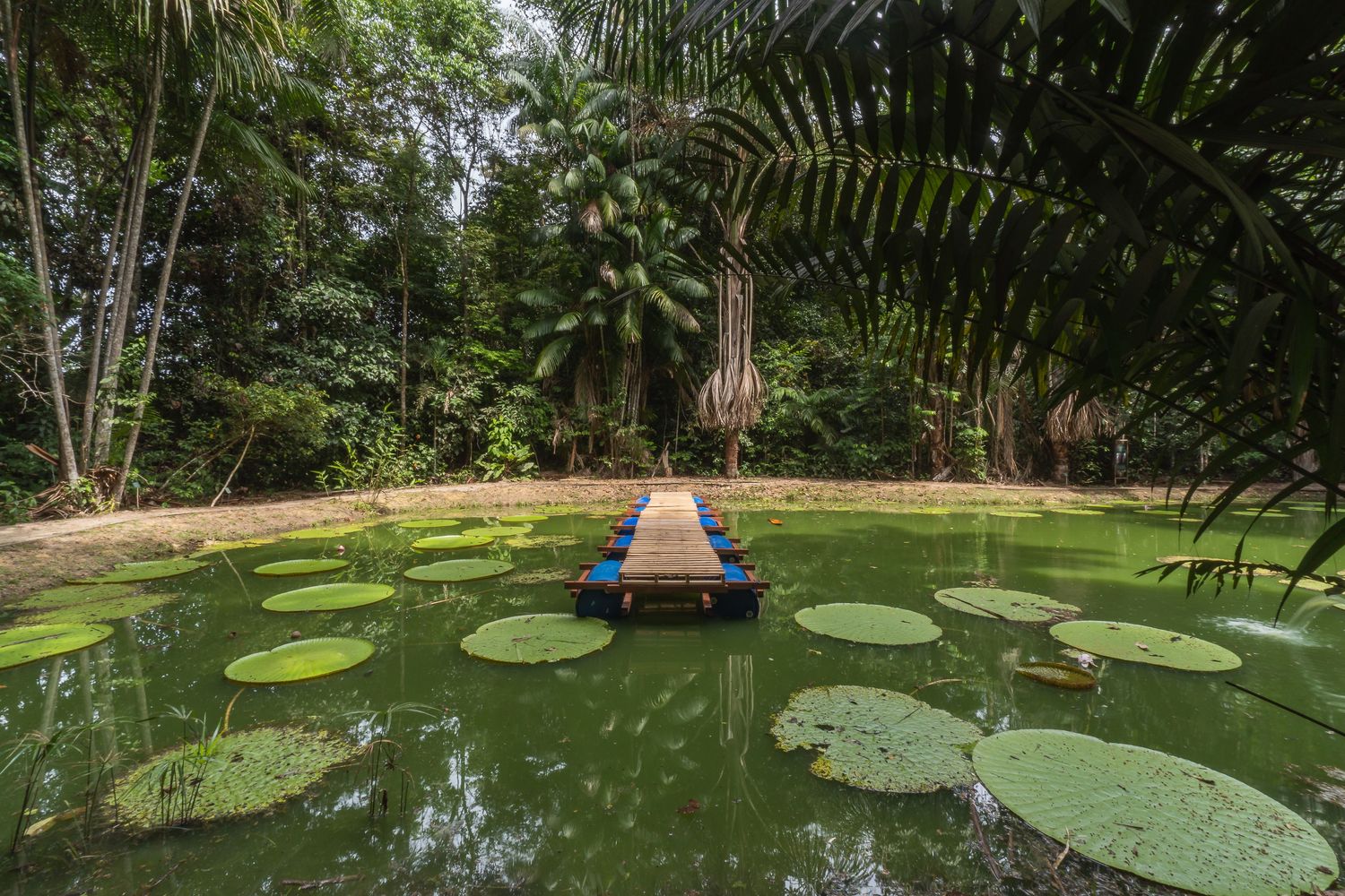 巴西玛瑙斯浮桥丨Colectivo Aqua Alta-16