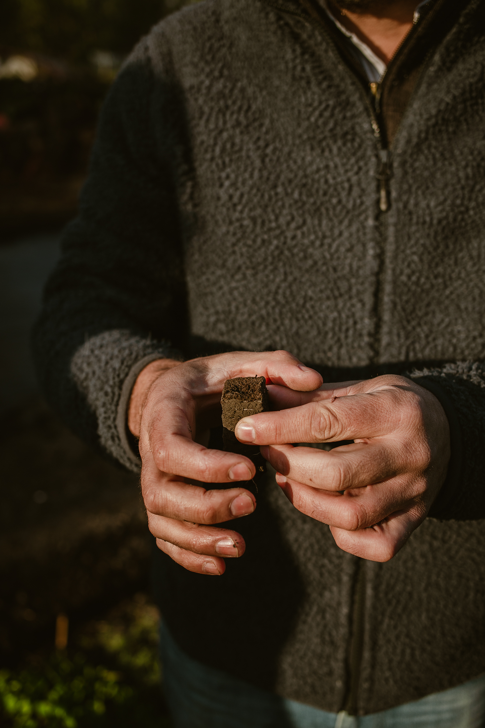 第 19 届威尼斯国际建筑双年展：墨西哥馆，探索古老农业系统的生态潜力-24