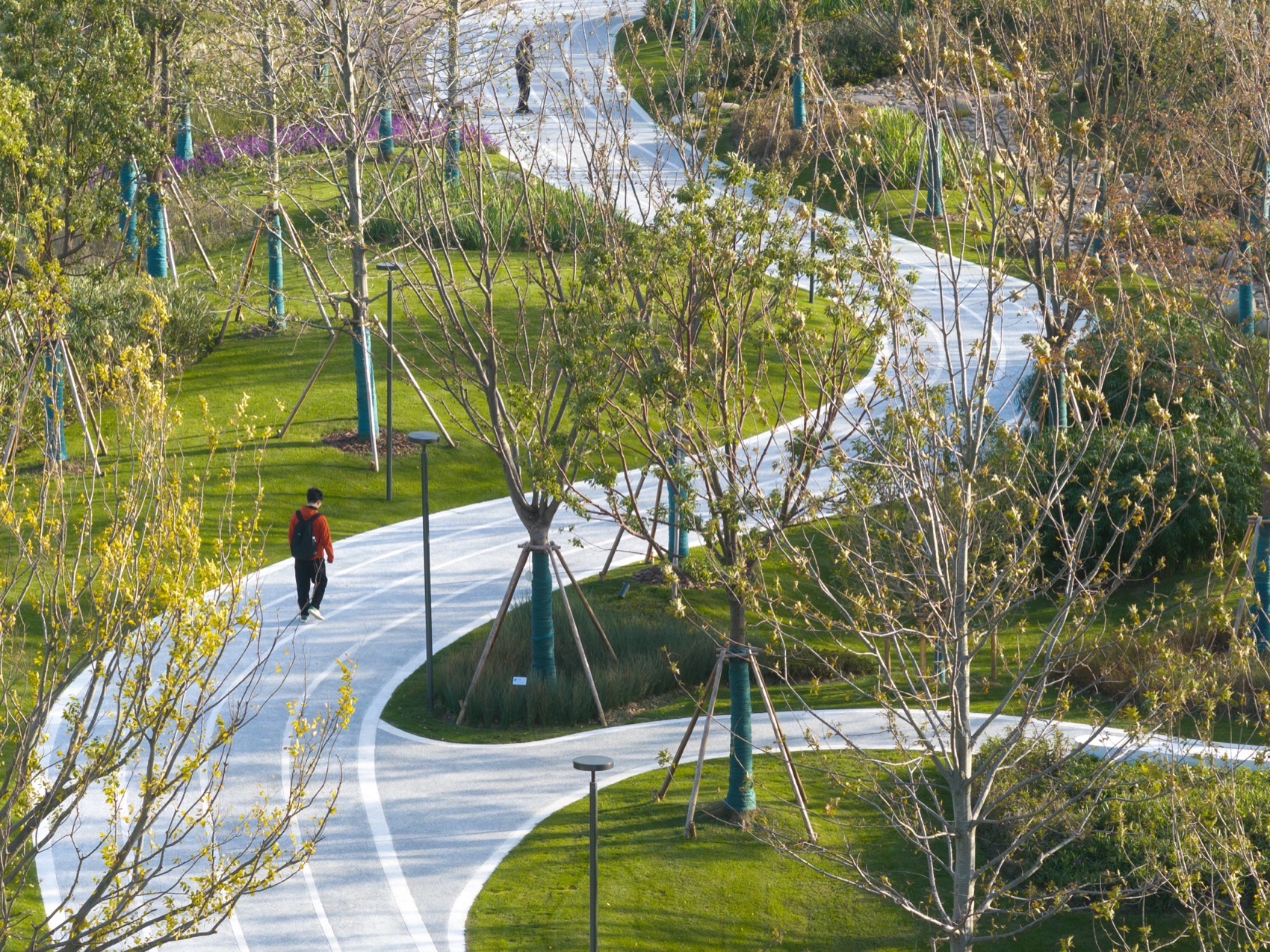 上海金泽镇培雅南路东侧绿地景观设计丨中国上海丨上海联创设计集团股份有限公司景观设计部-33