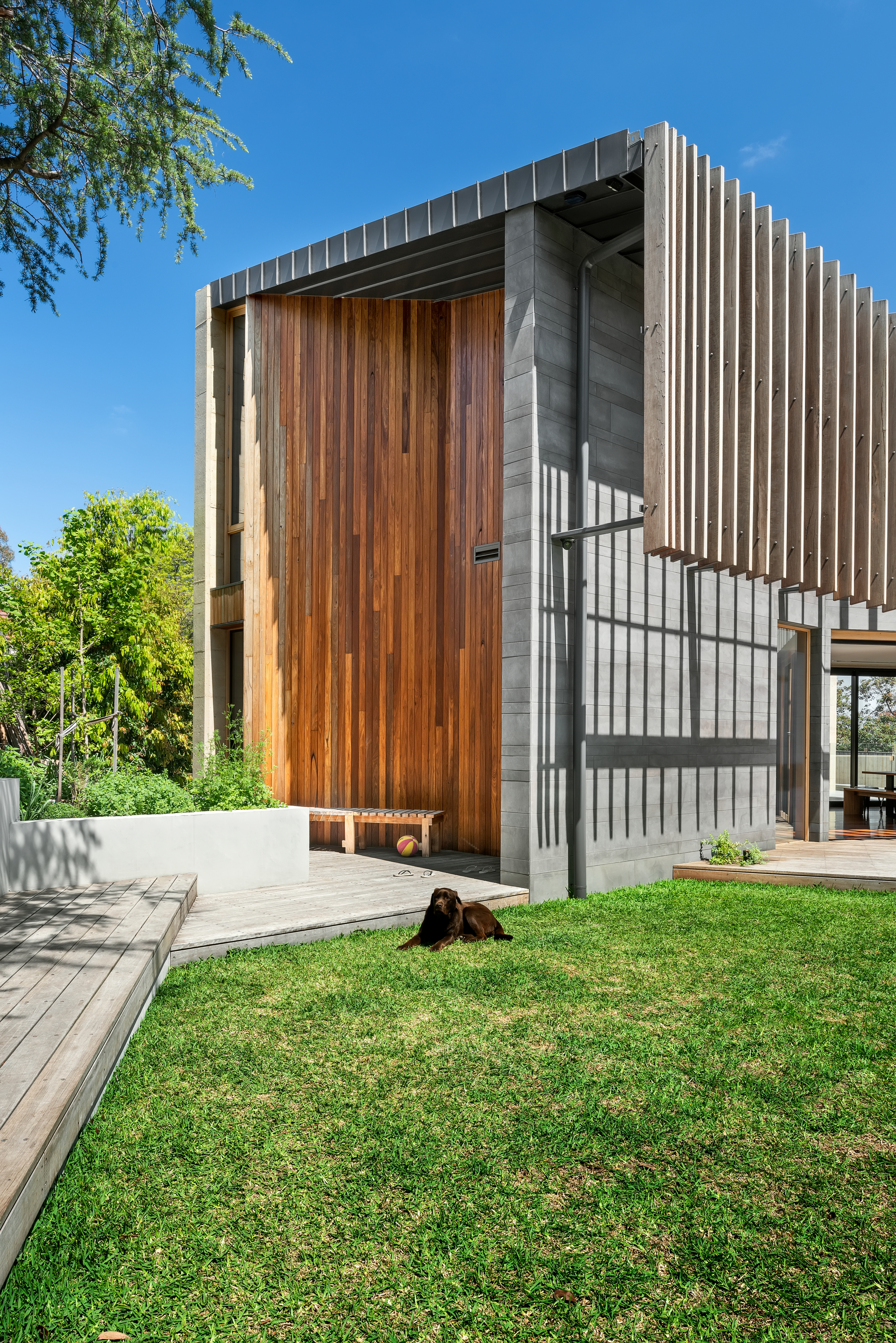 林荫大道住宅丨澳大利亚墨尔本丨Green Sheep Collective-31