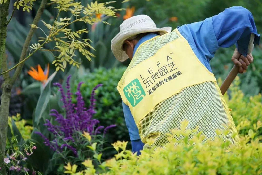 空中花园的粉紫色浪漫 | 乐梵造园的秋韵花境改造-88