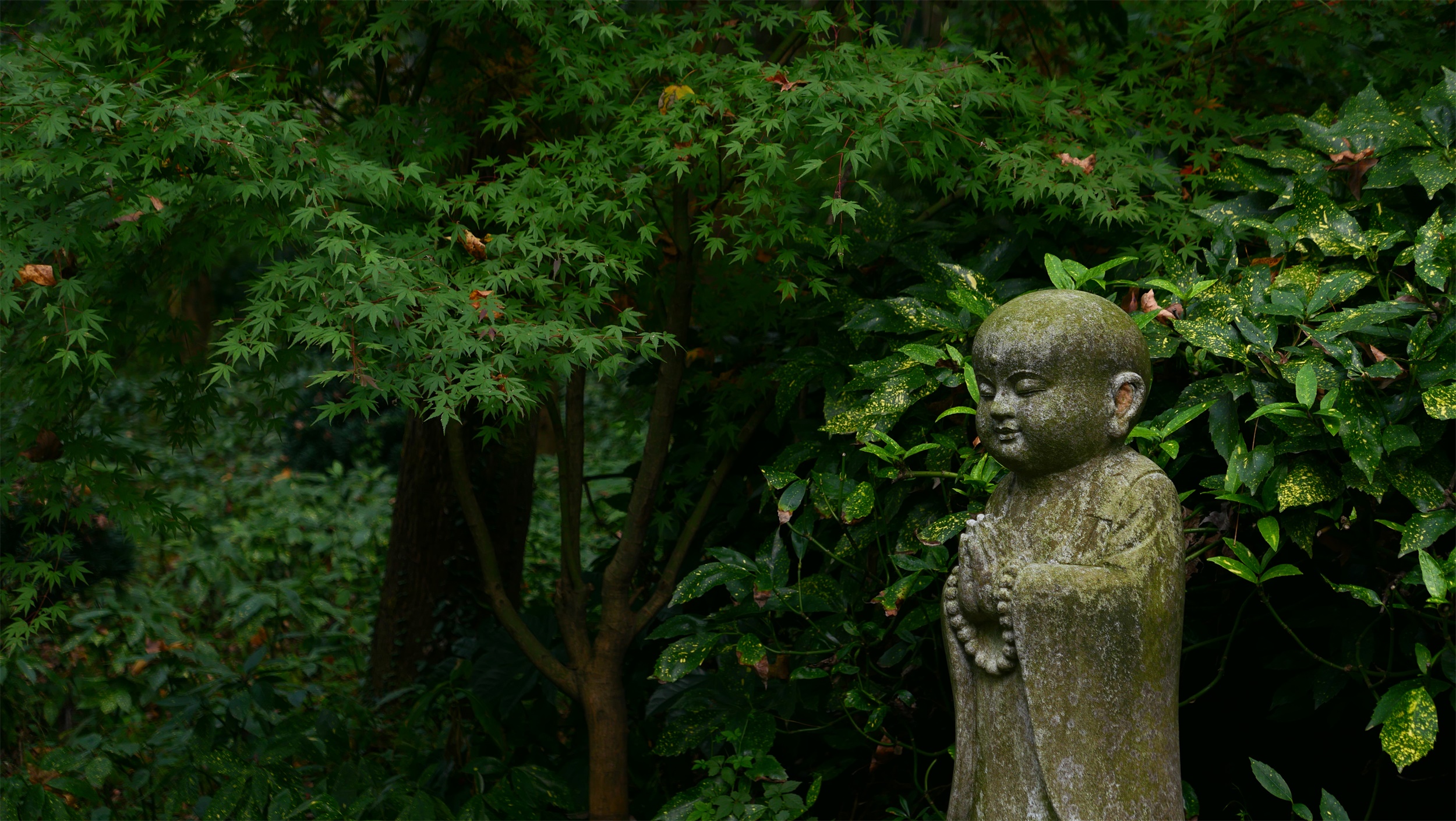 杭州永福寺丨中国杭州-4