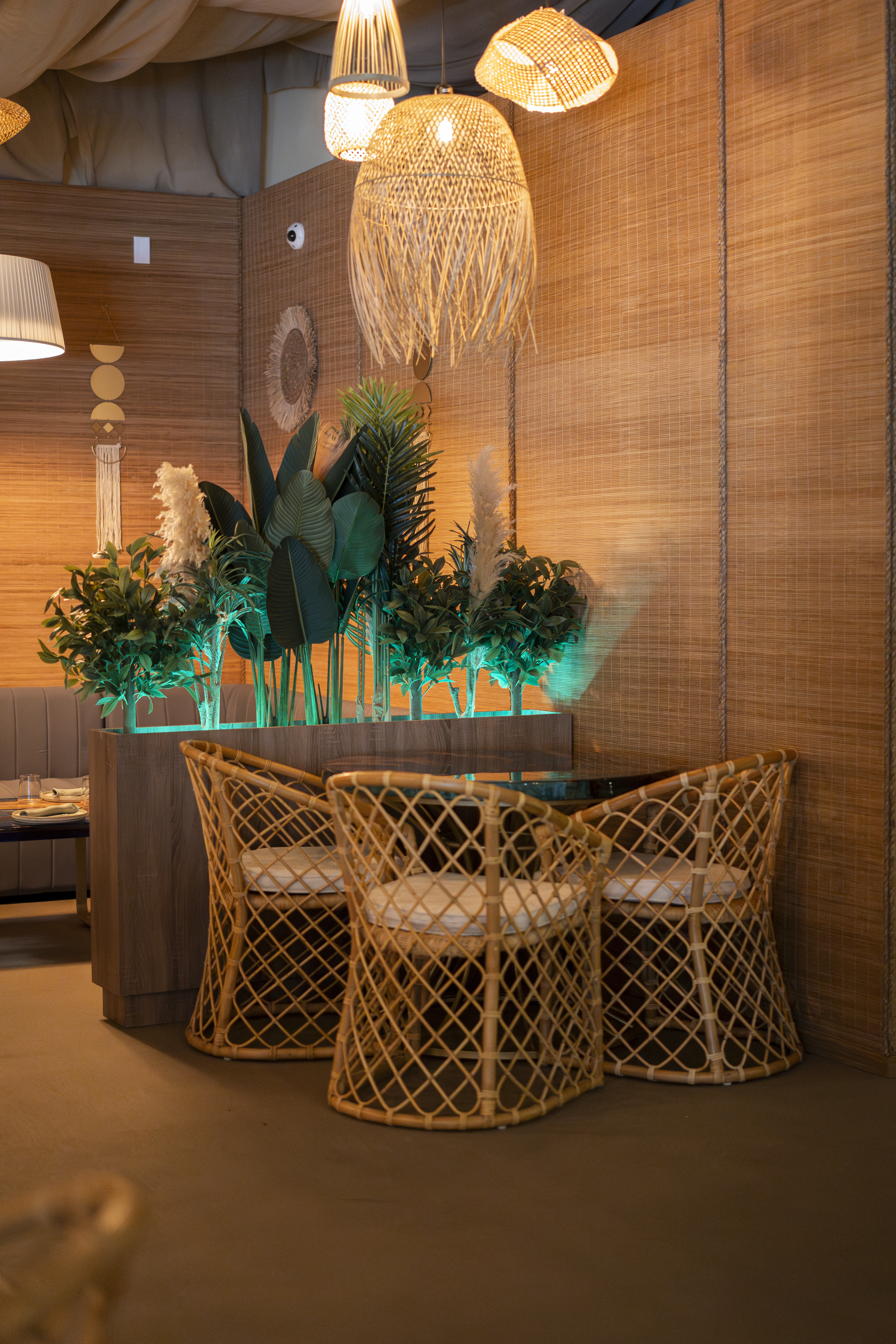 黑莓之乐丨AlgeriaOran-16