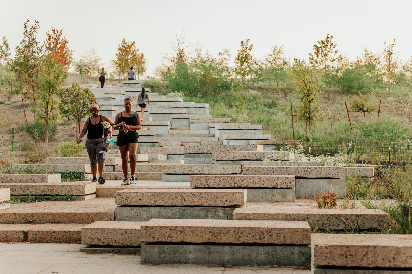 Kinder Land Bridge and Cyvia and Melvyn Wolff Prairie at Memorial Park | Nelson Byrd Woltz Landscape Architects-16