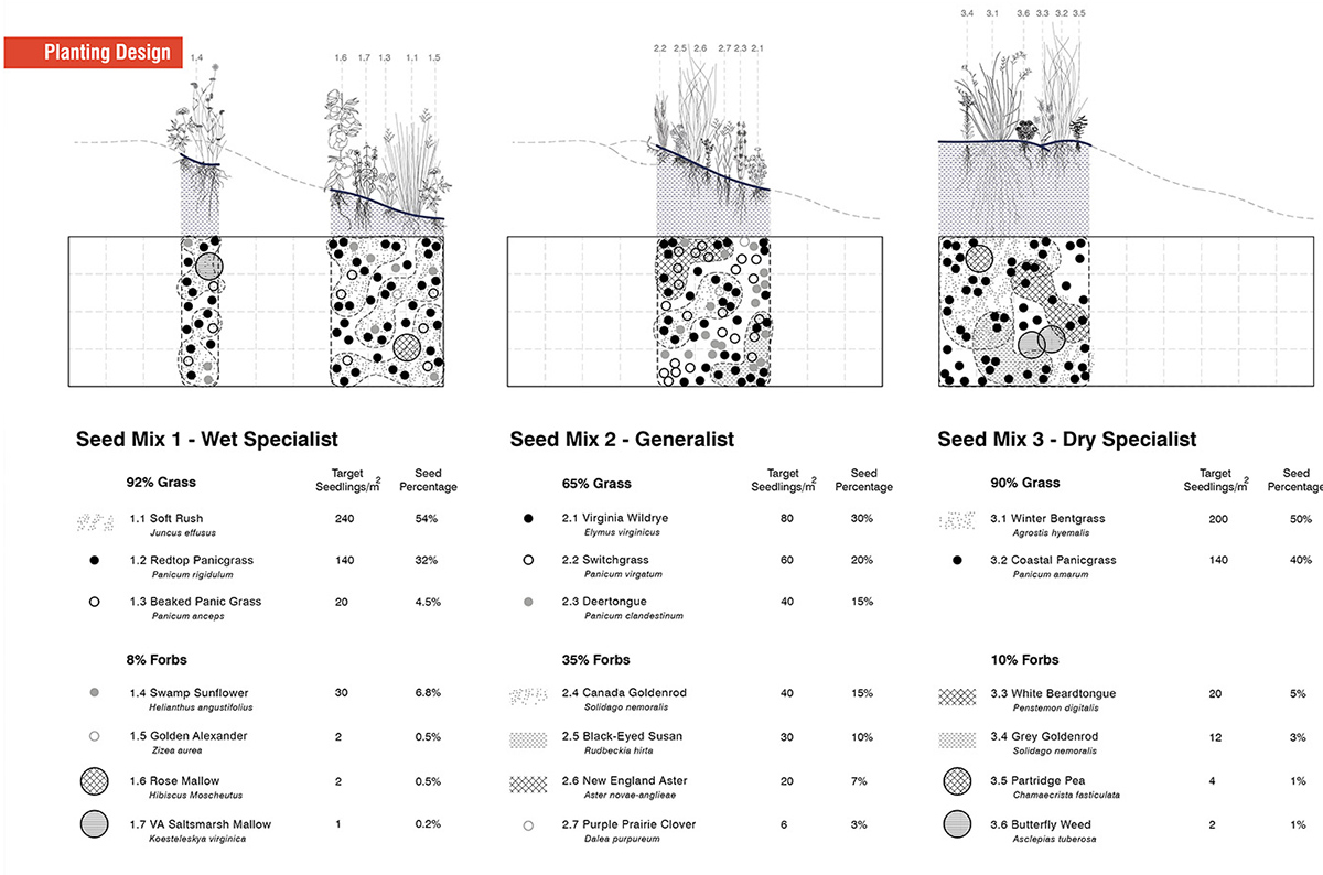播种特异性 · 新型生态系统的种植材料和方法丨马里丨Mahan Rykiel Associates-5