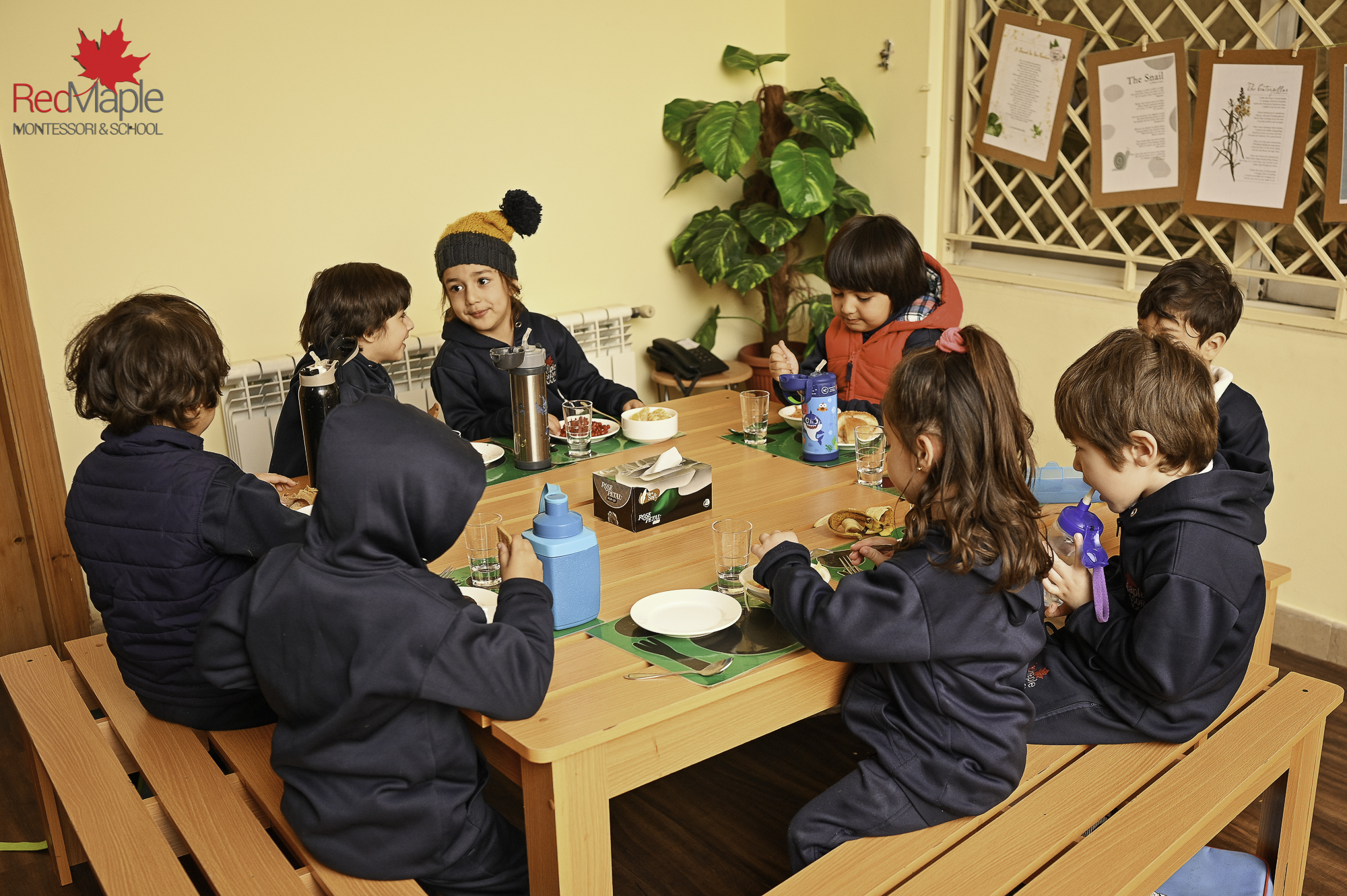 红枫蒙特梭利丨巴基斯坦伊斯兰堡丨RDC 建筑摄影-9