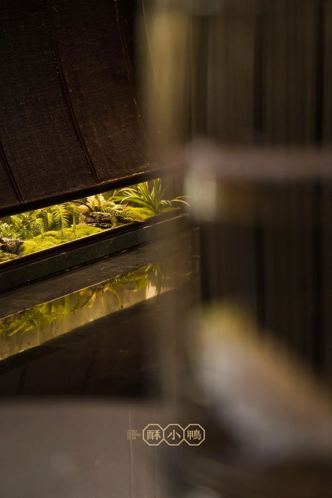 酥小鸭｜新店启幕，长安街的霓灯盛景尽收眼底-56