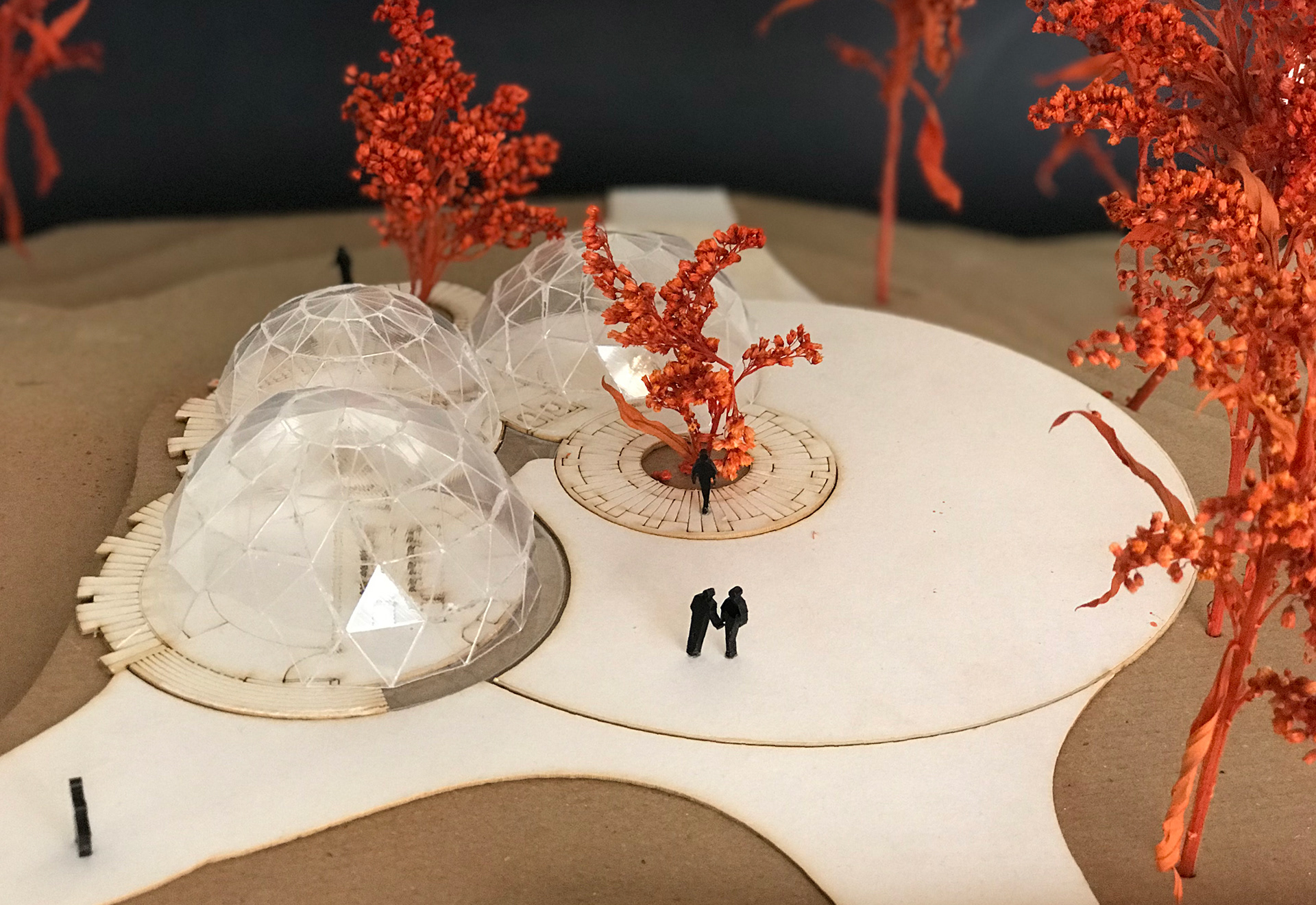 CF·项目地点·自然地点丨哥伦比亚-18