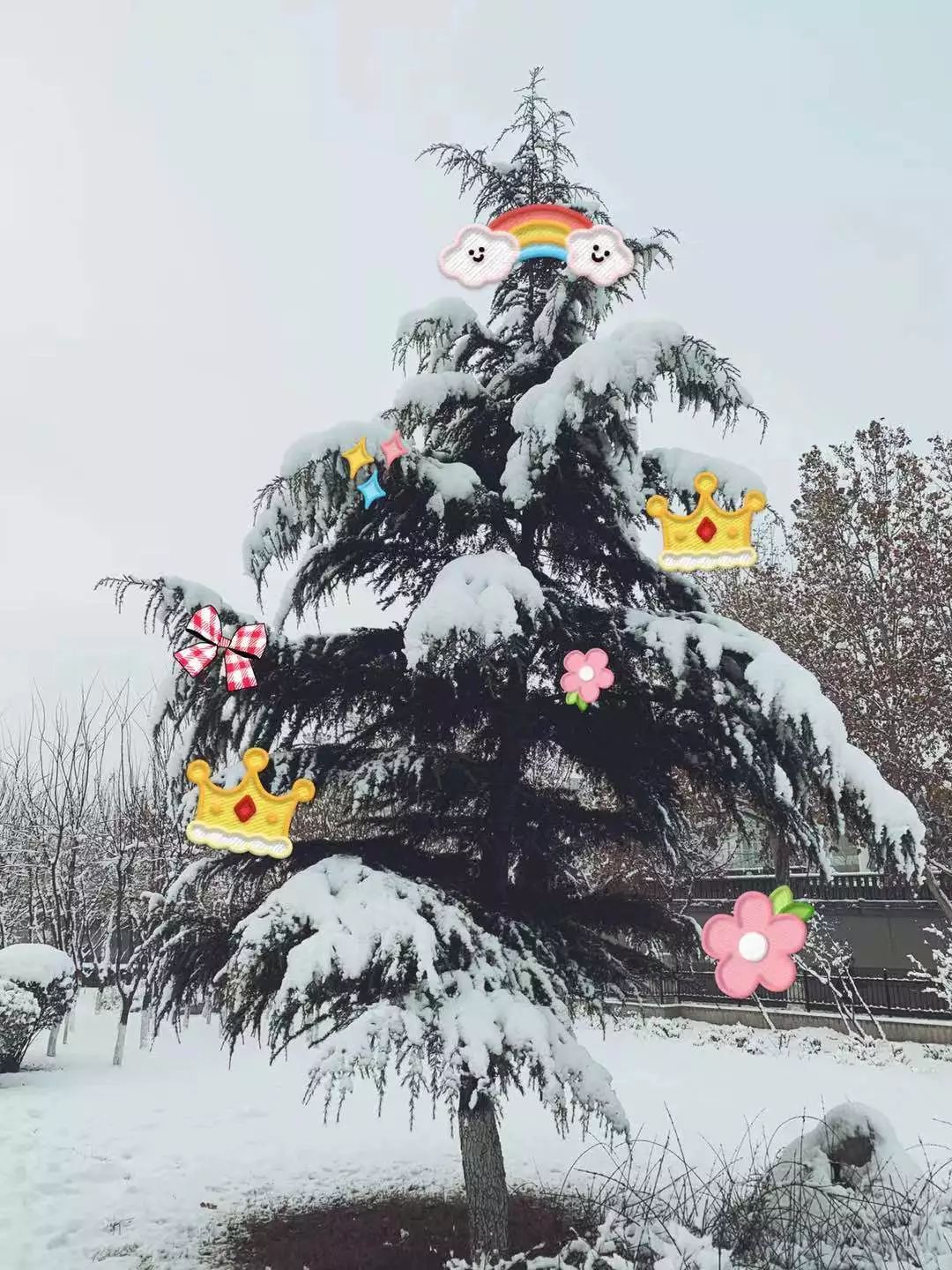 2020 年第一场雪后的义务扫雪活动-3