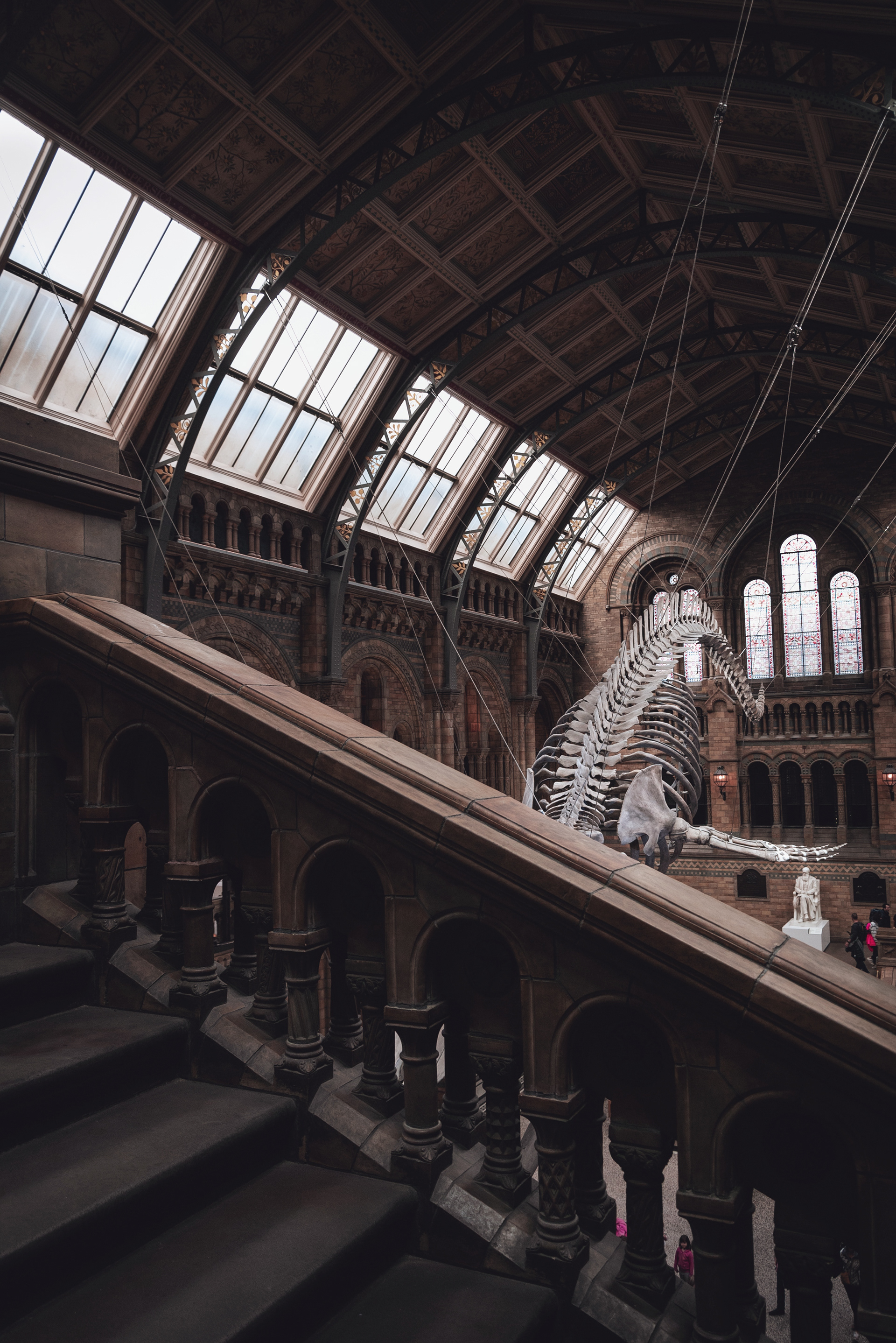 伦敦自然历史博物馆中央大厅设计丨英国伦敦-5