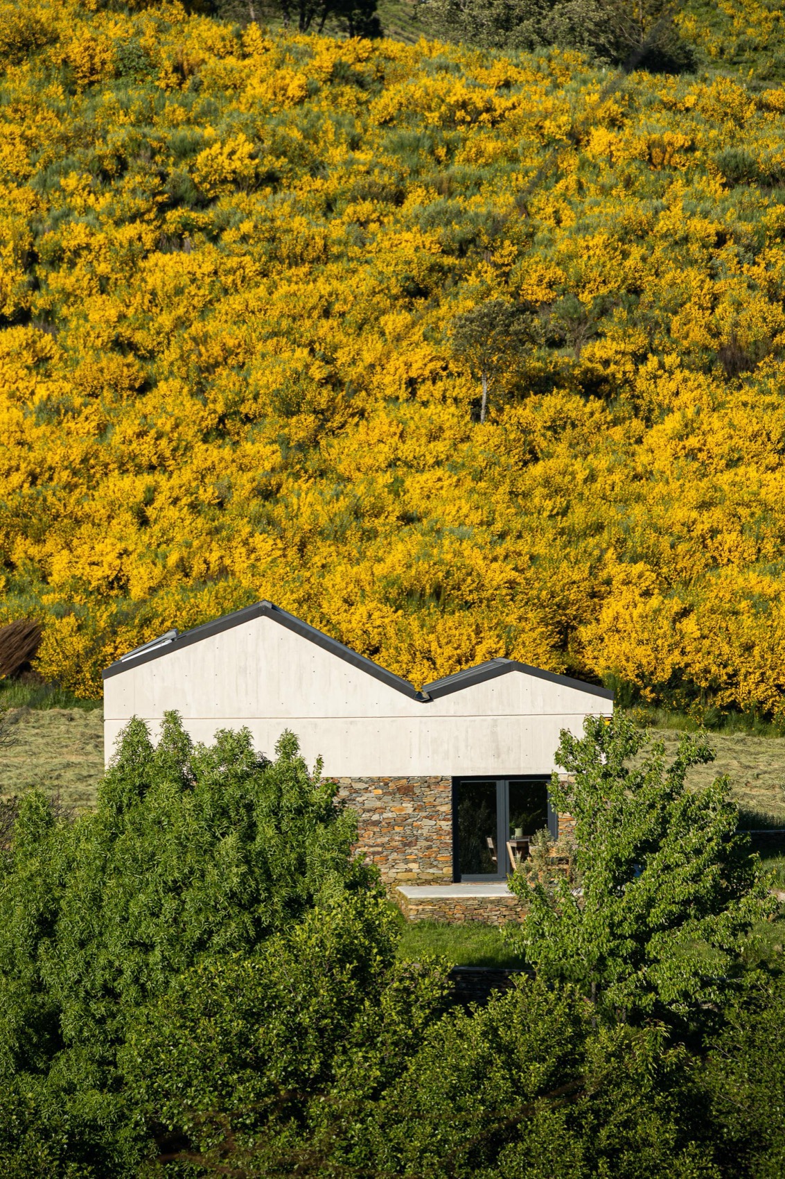 TerraSense山地隐逸度假酒店丨Atelier DRK-123