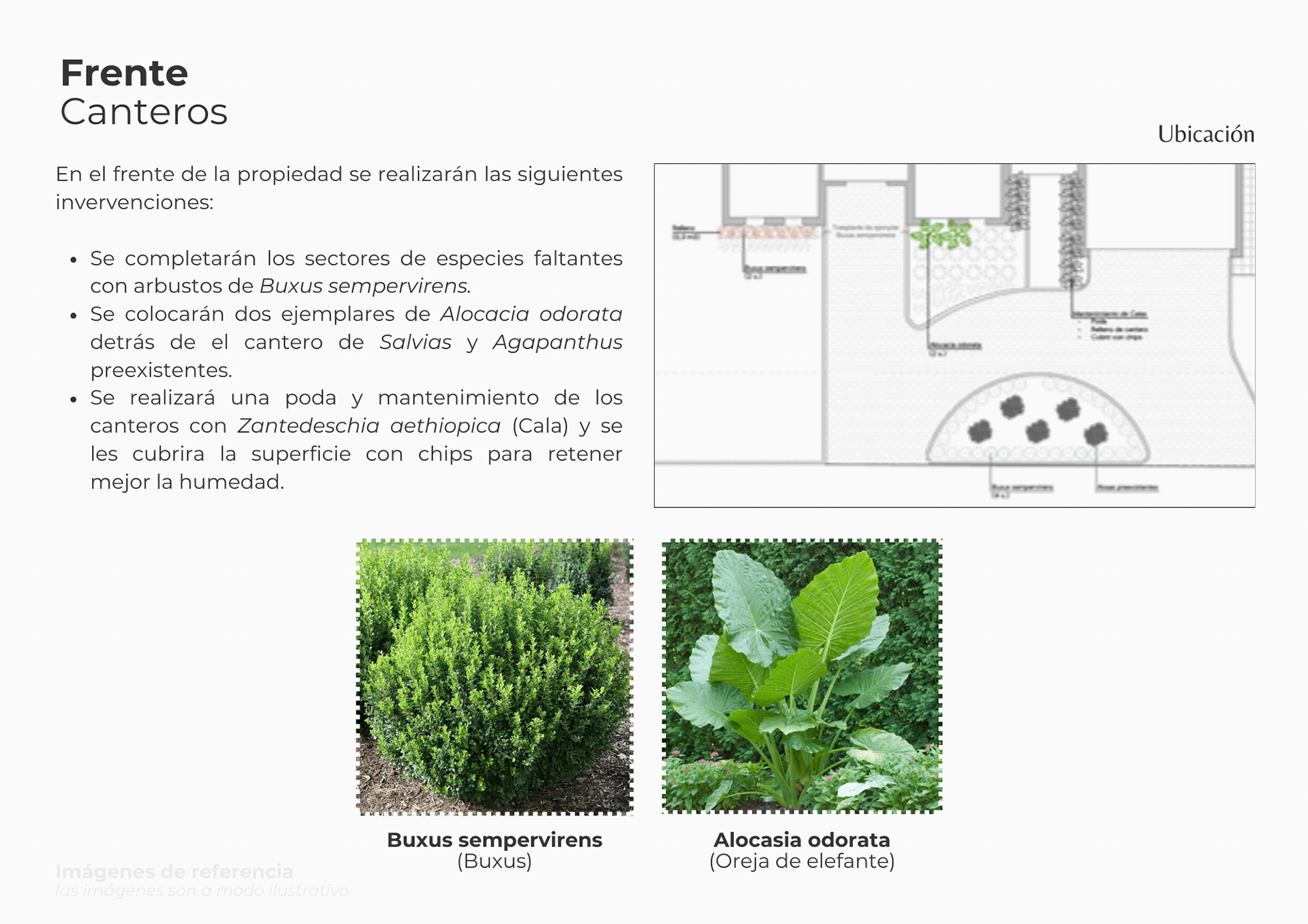 Multiespacio | Proyecto freelance-1