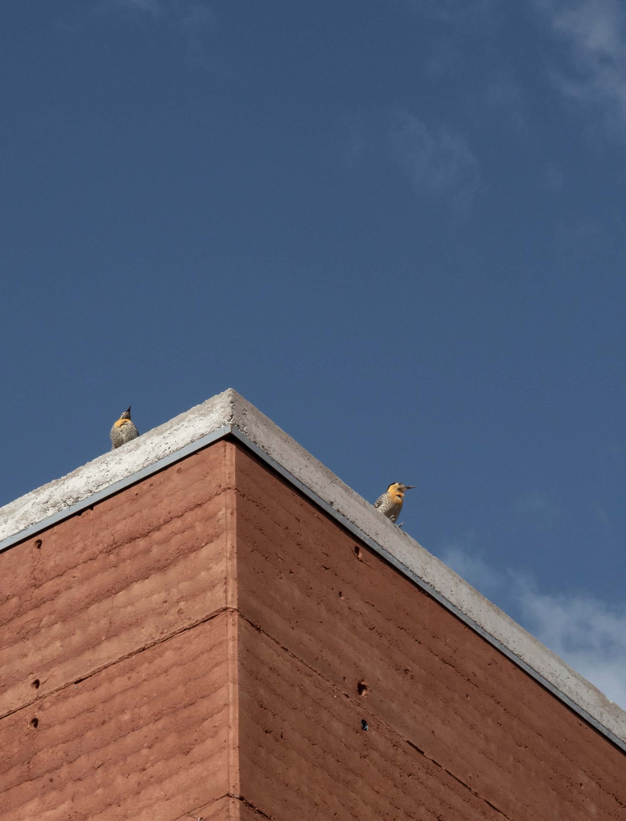 灶鸟屋丨SwitzerlandBern丨BAUEN-44