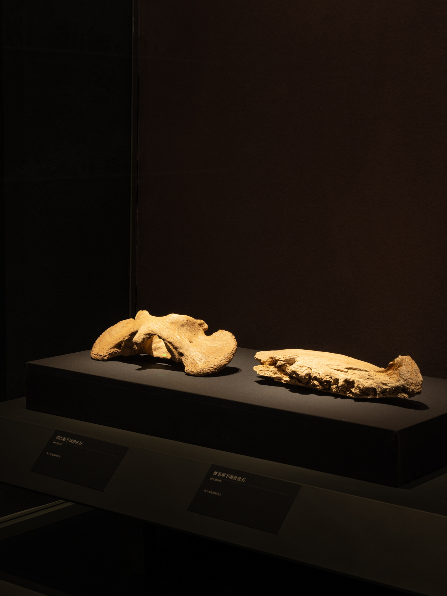 Ordos Museum 鄂尔多斯博物馆-26