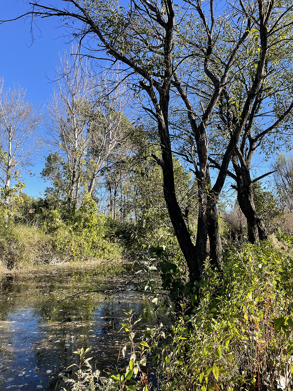 山叁夏庄园酒店与农场之家丨中国大理丨ArCONNECT之间建筑事务所-315