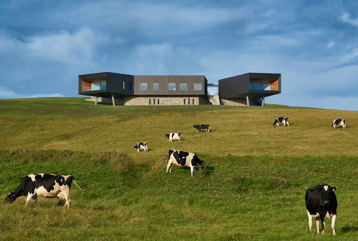 五月黄 Trace 聚焦 | 全球设计与澳大利亚设计新闻精选-8