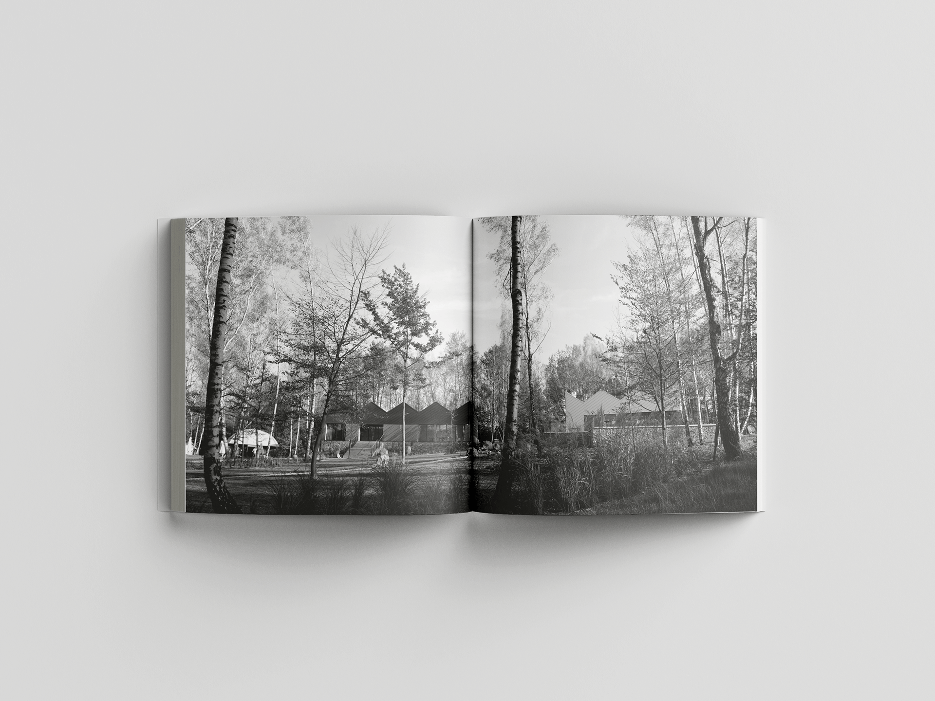 Polańczyk 学生图书丨Natalia Migut 等-8