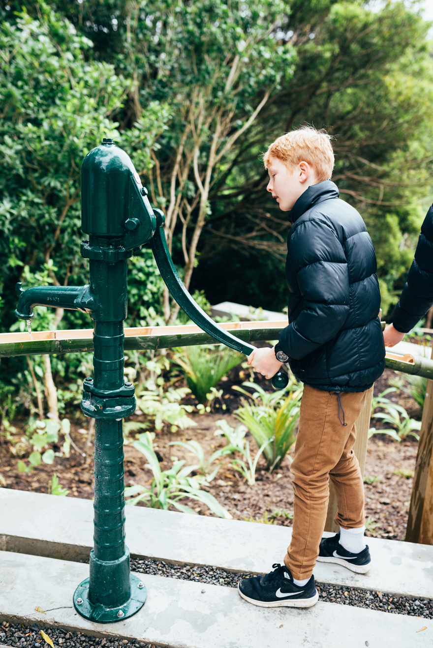 惠灵顿植物园的探索花园——儿童与自然的亲密接触-17