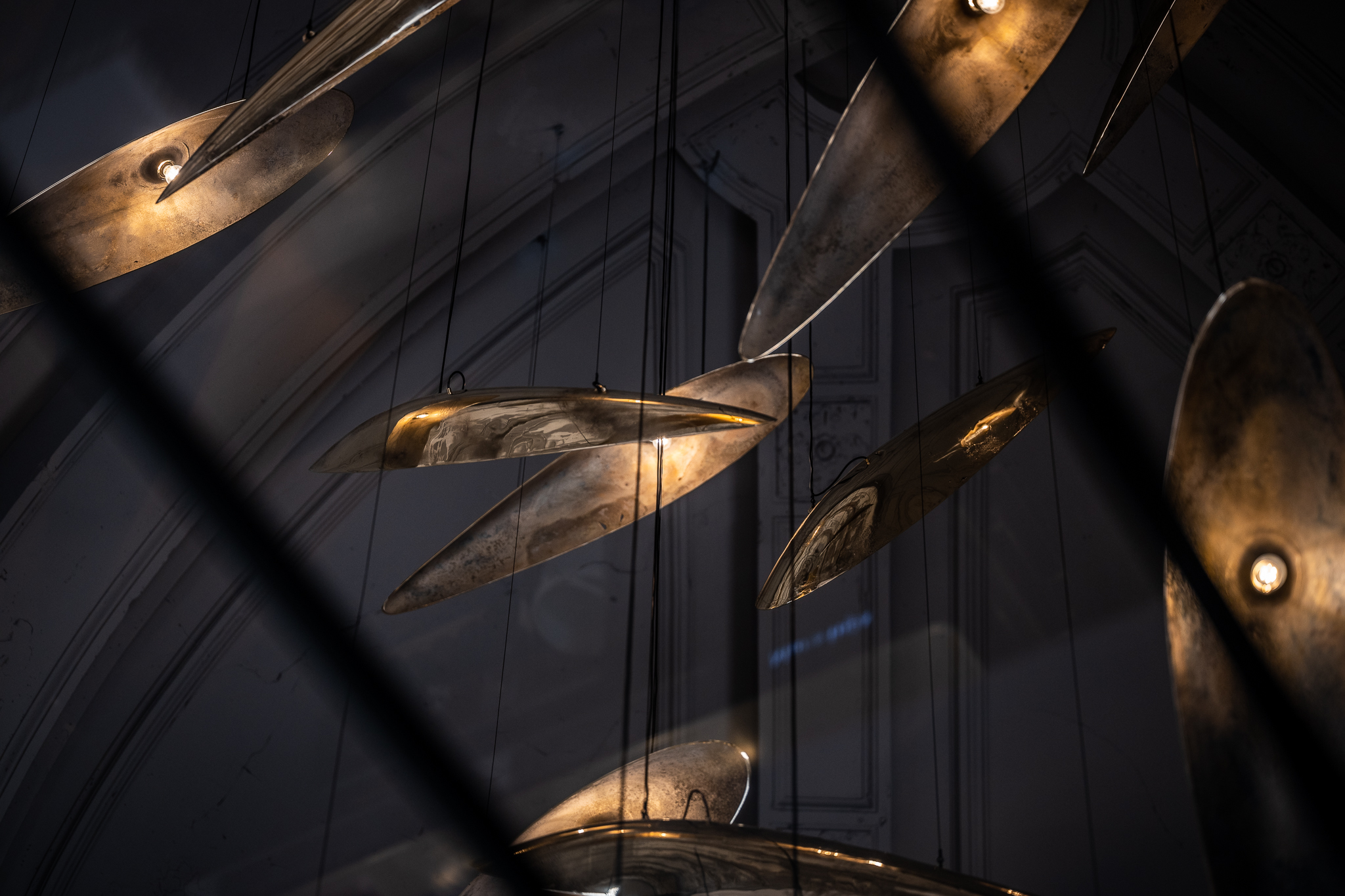 Sharks at The Jane - Dieter Vander Velpen Architects-8