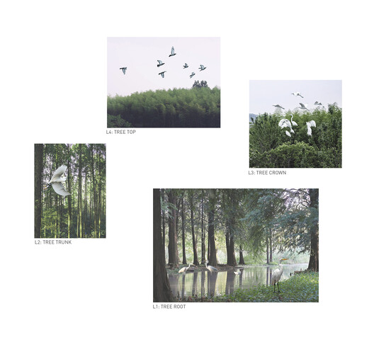 顺德云鹭湿地博物馆丨中国佛山丨Link-Arc建筑事务所-61