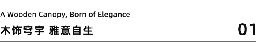 深圳传麒山SACUCCI案例丨中国深圳-6