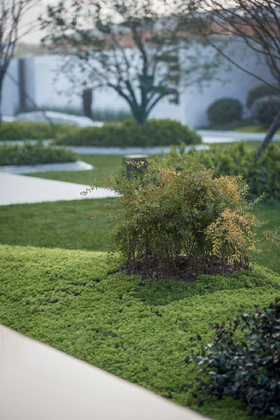 DSA东向景观丨杭州 顺发 美颂城.美学生活馆 景观设计 丨中国浙江-91