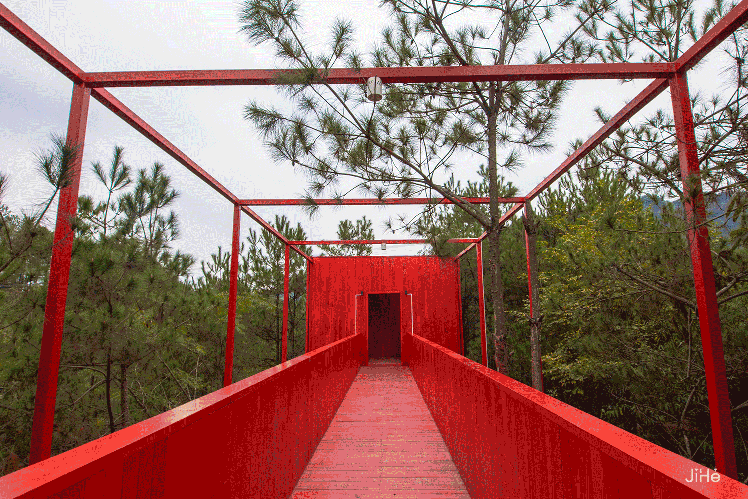 树屋,寻找童话中住在树上的精灵-33