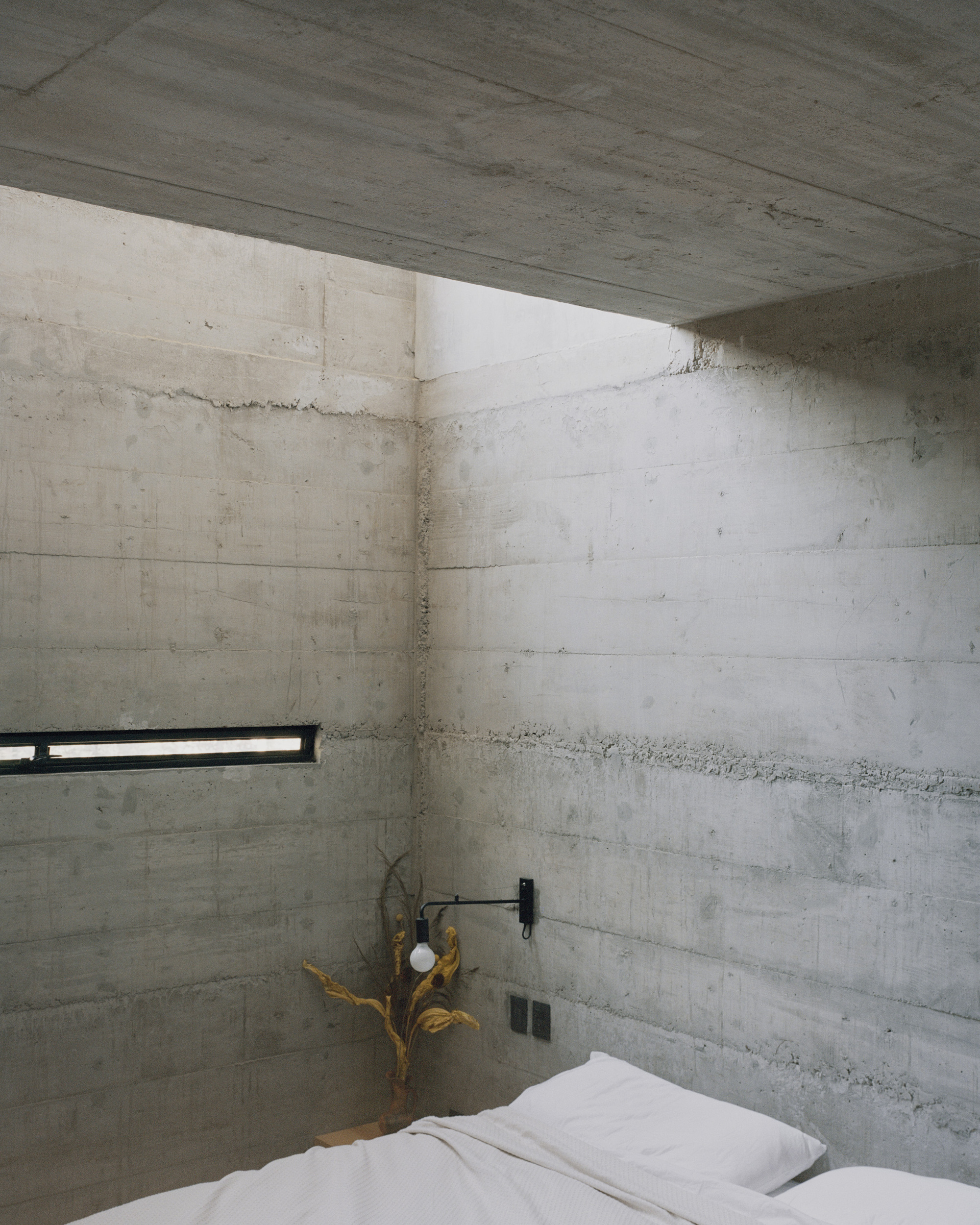 阿尔费雷斯之家丨墨西哥丨Ludwig Godefroy Architecture-38