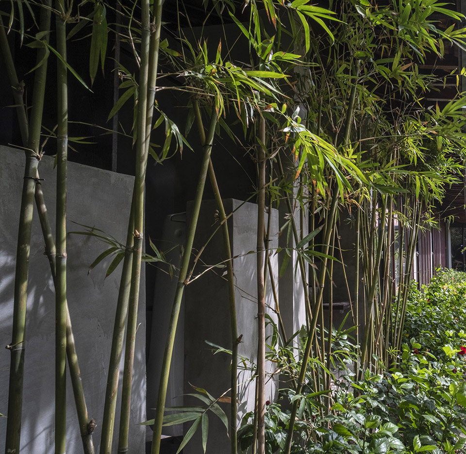 PHU MY GARDEN花园建筑，越南 / TAA Design-40