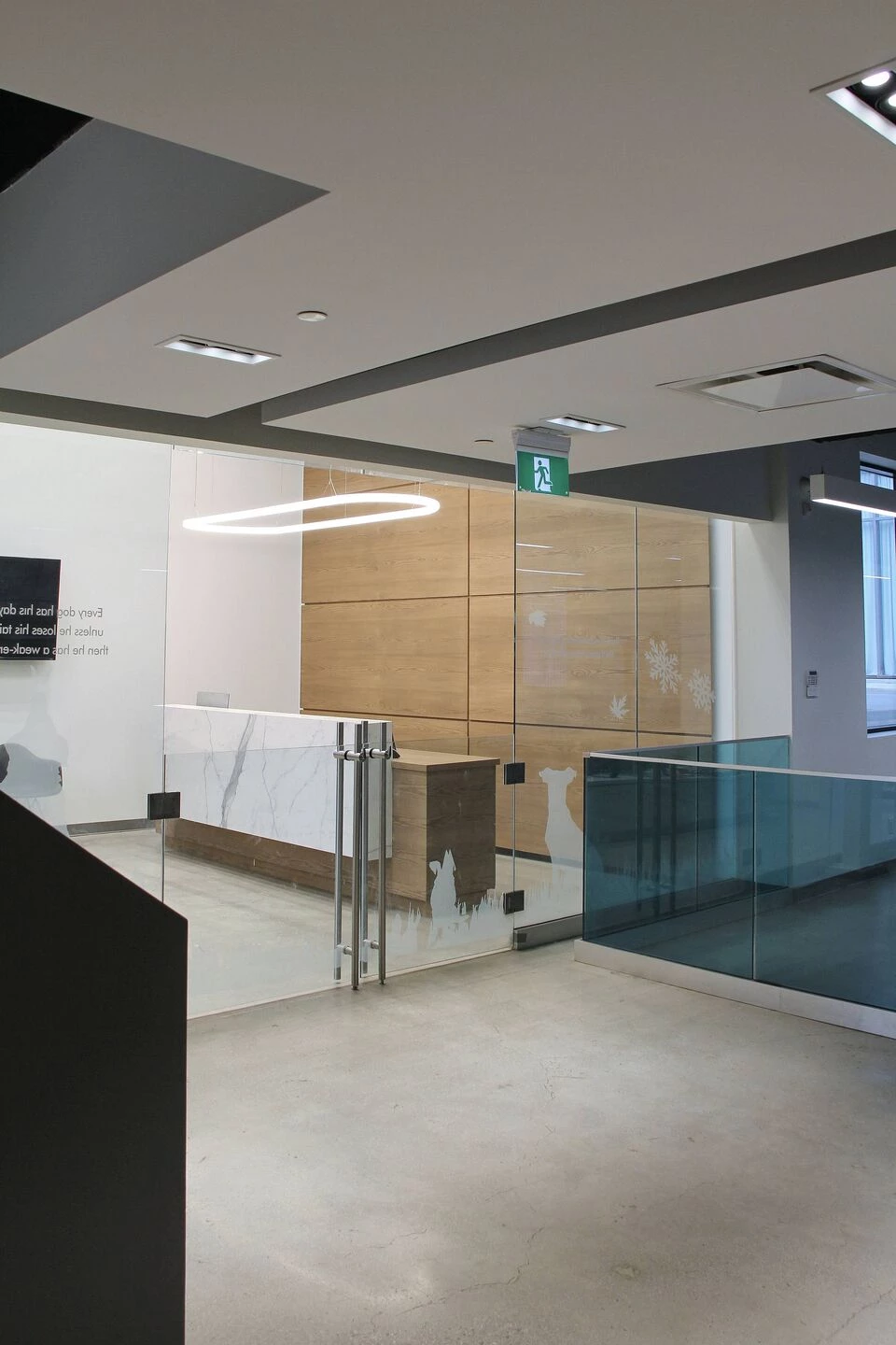 Park Lawn Dog Daycare-27