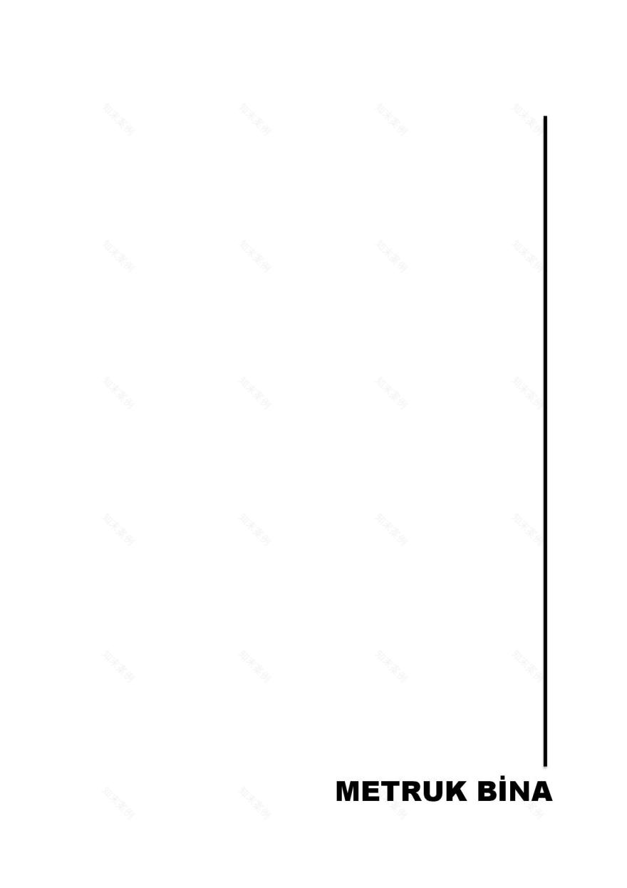 卡米卡高中历史墙保护-28