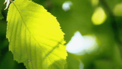 蓝城·悦雅园125㎡样板间丨中国佛山丨OE设计团队-75