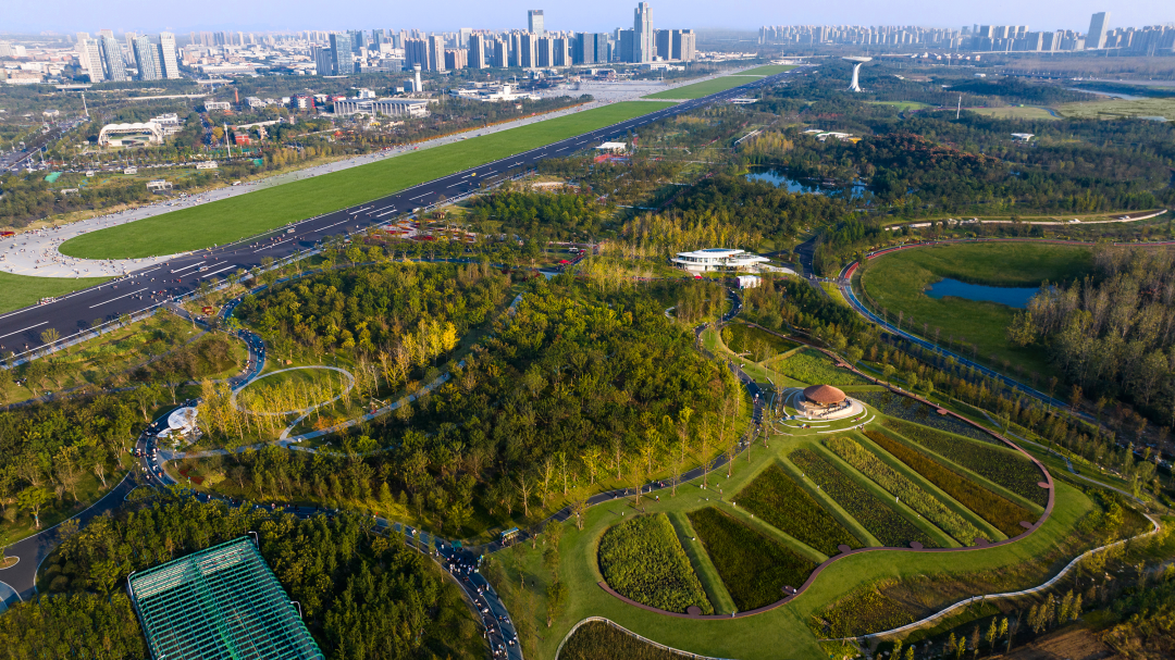 合肥骆岗公园景观设计丨中国合肥丨泛亚景观设计（上海）有限公司-105