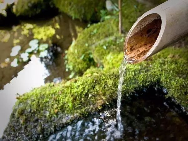 日式禅意庭院-64