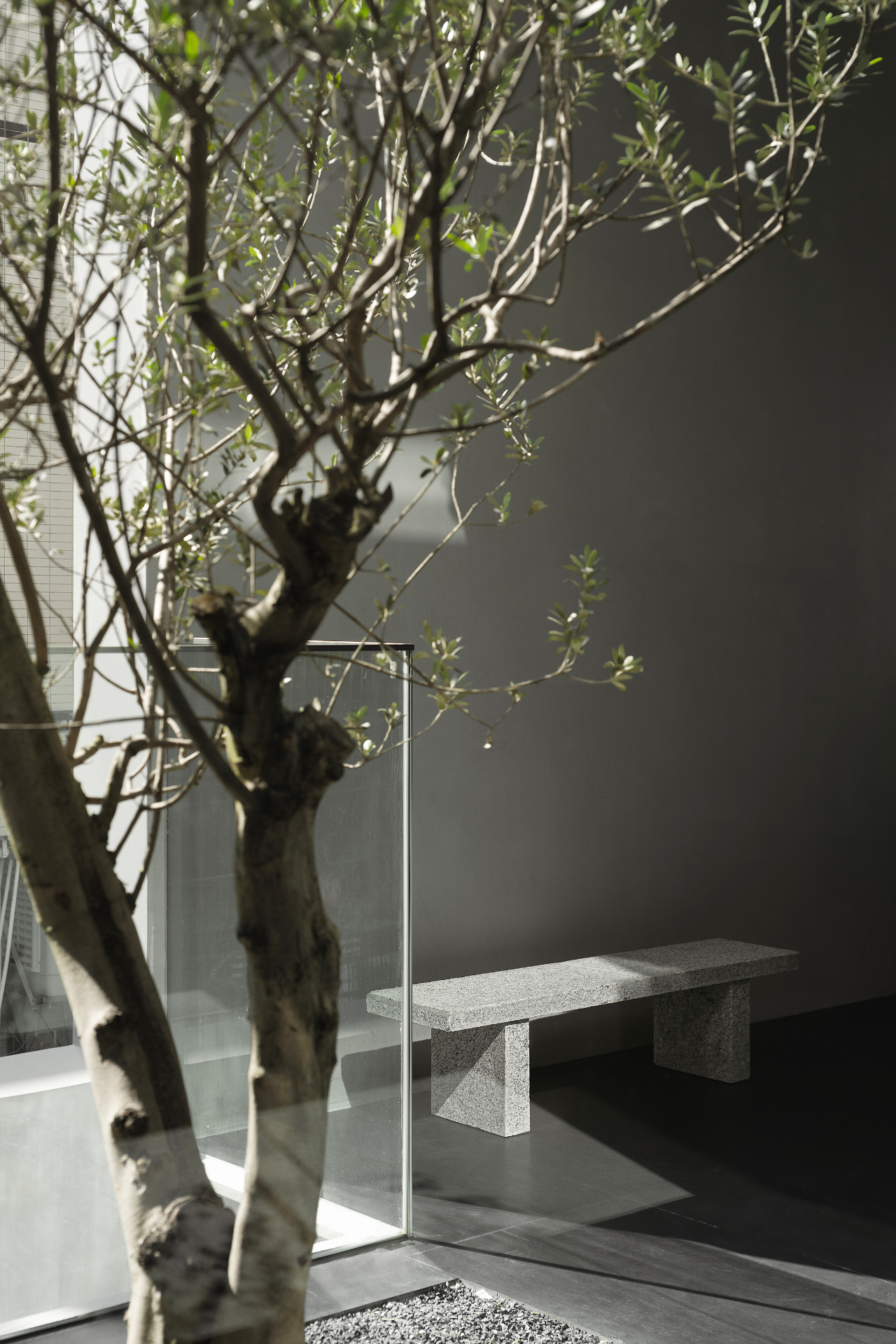 容光丨中国潮州丨今古凤凰-51