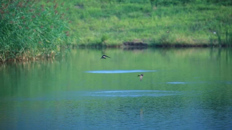 秦岭国家植物园田峪河湿地公园景观设计-69