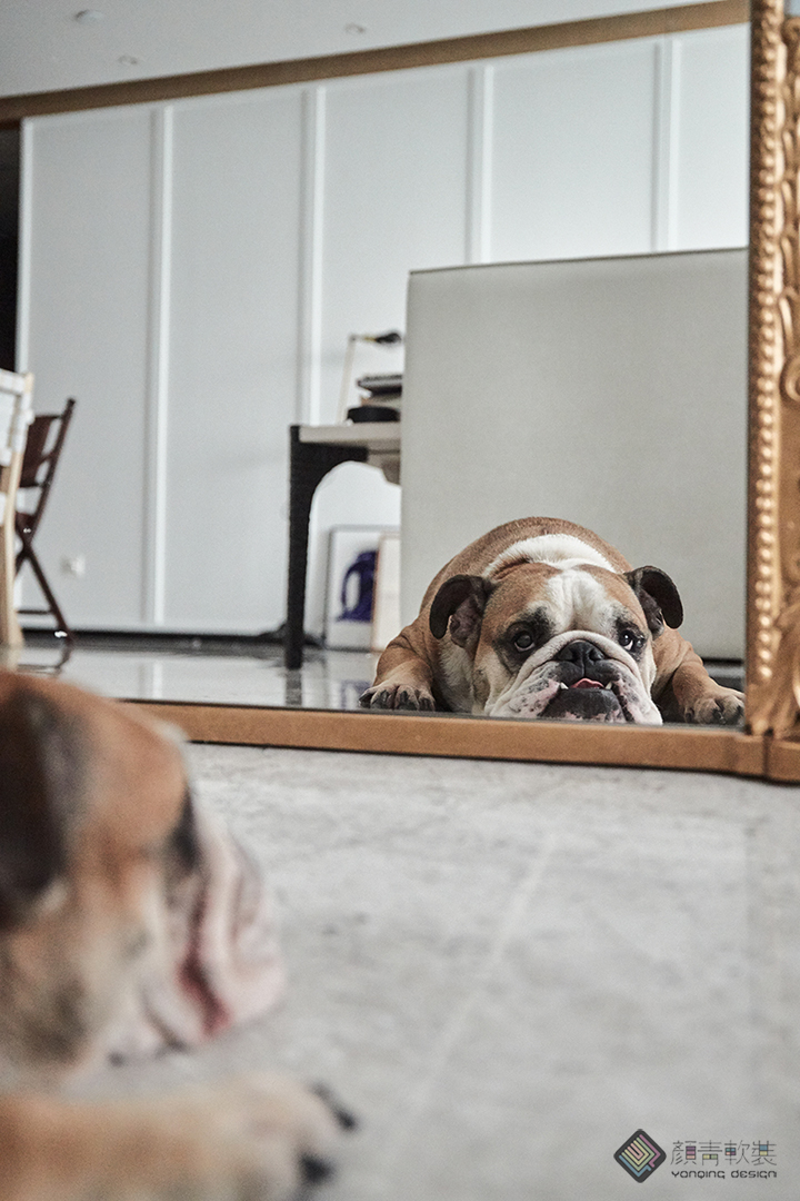 杂志风来啦，高颜值摄影师夫妇的家，短短几分钟火速霸屏了整个朋友圈！-56